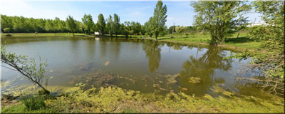 St-Laurent (47-Lot-et-Garonne) Trail de l'Auvignon - Mai 2014